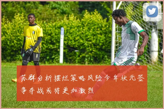 苏群分析摆烂策略风险今年状元签争夺战或将更加激烈