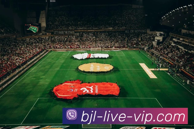 百家乐平台生态图